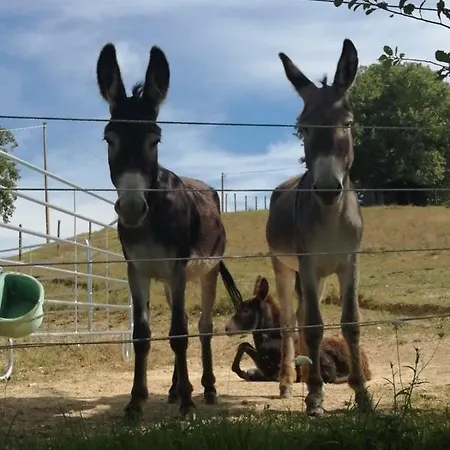 Casa Ambrogi Stefano Valfabbrica
