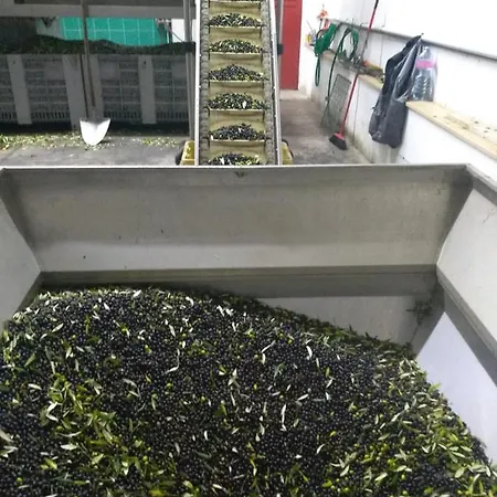 Casa Ambrogi Stefano Casa vacanze *