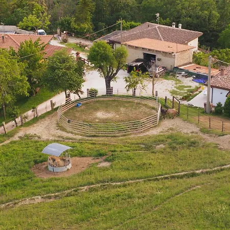 Casa Ambrogi Stefano *