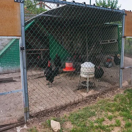 Casa Ambrogi Stefano *