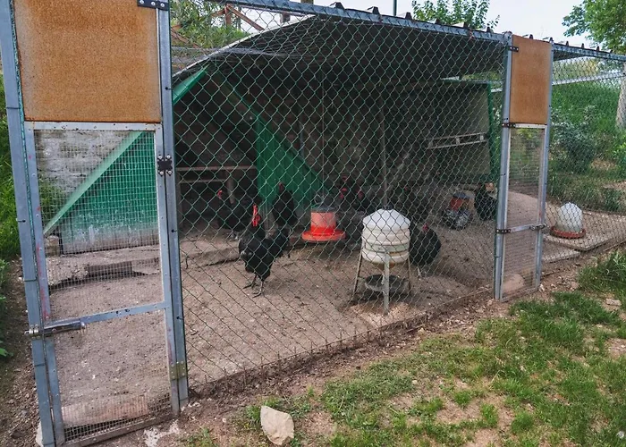 Casa Ambrogi Stefano *